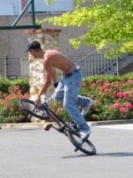 Amaury
